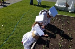 graduates playing outside